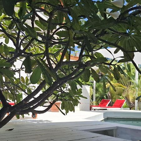 Amanda'S Place Green Studio - Pool And Tropical Garden เคย์คอล์กเกอร์ ภายนอก รูปภาพ