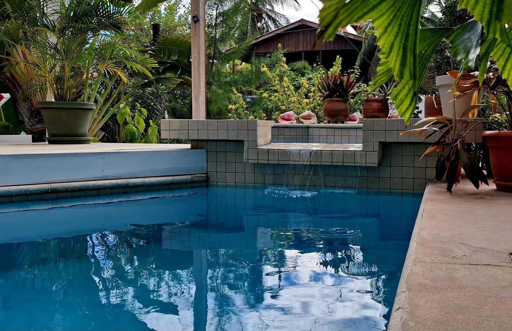 Amanda'S Place Green Studio - Pool And Tropical Garden เคย์คอล์กเกอร์ ภายนอก รูปภาพ